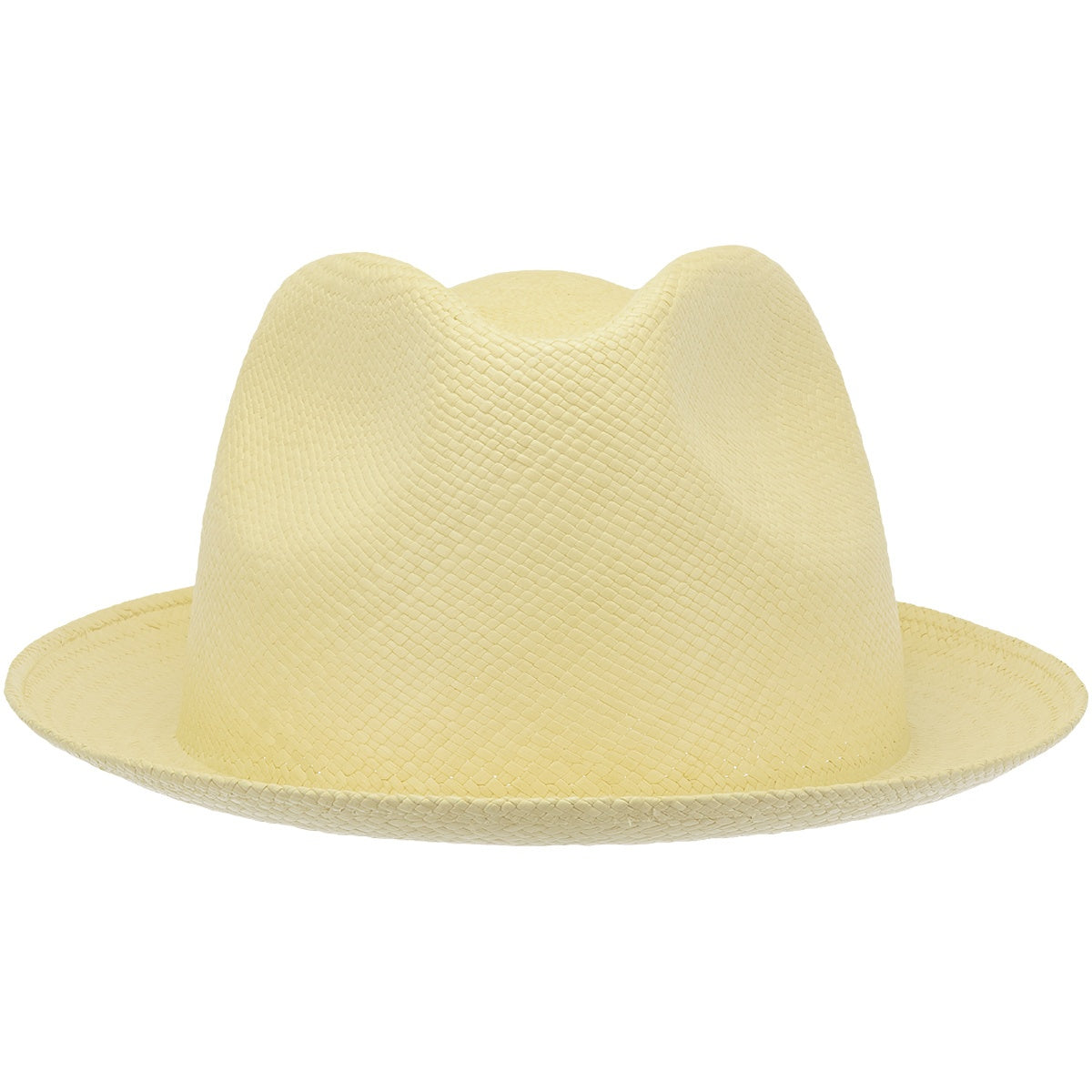 Aguacate Snap Brim Brisa#3 4.5cm N00